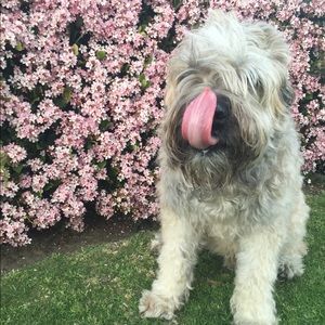 Meet your Posher, Maddie